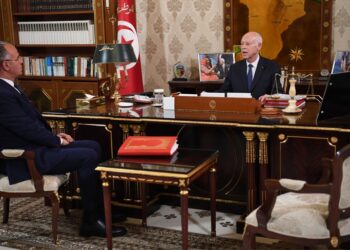 Kais Saïd : 5000 emplois au profit des docteurs sans emploi