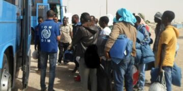 Tunisie : de nouvelles opérations de retour volontaire de migrants subsahariens